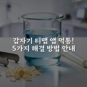 갑자기 티맵 앱 먹통! 5가지 해결 방법 안내