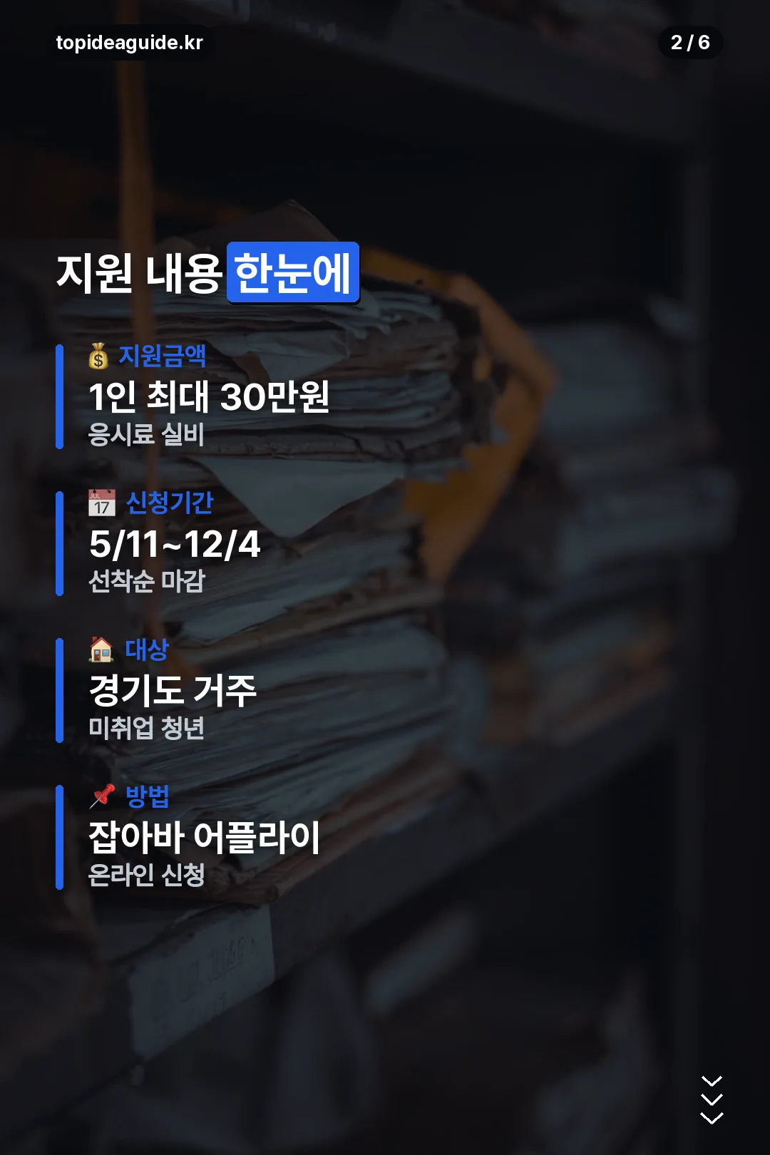 지원 내용 요약